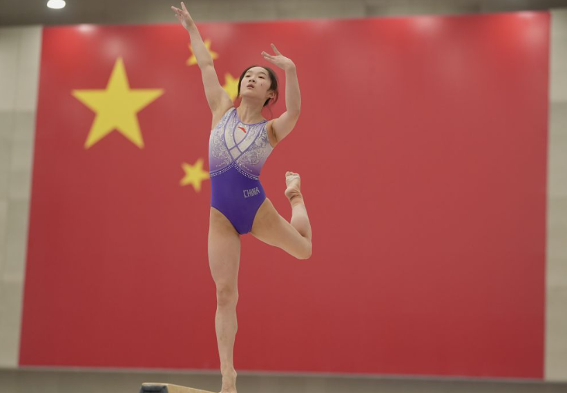 华体会hth官网登录功能特点解析